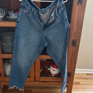 American Eagle Outfitters Women's Strigid Mom Jeans Curvy